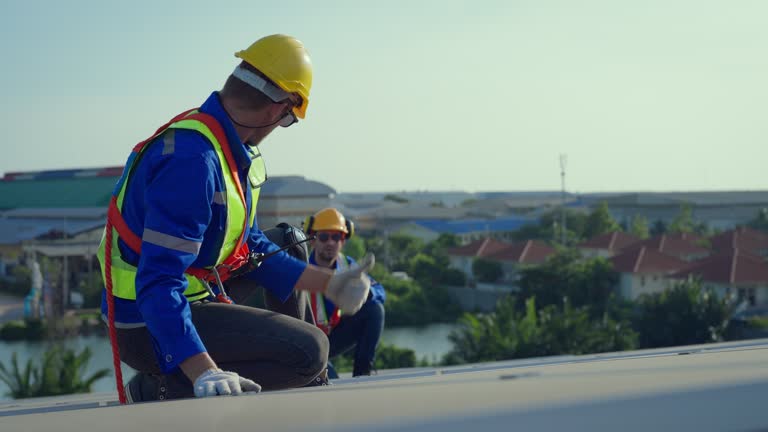 Best Roof Maintenance and Cleaning  in Union City, CA